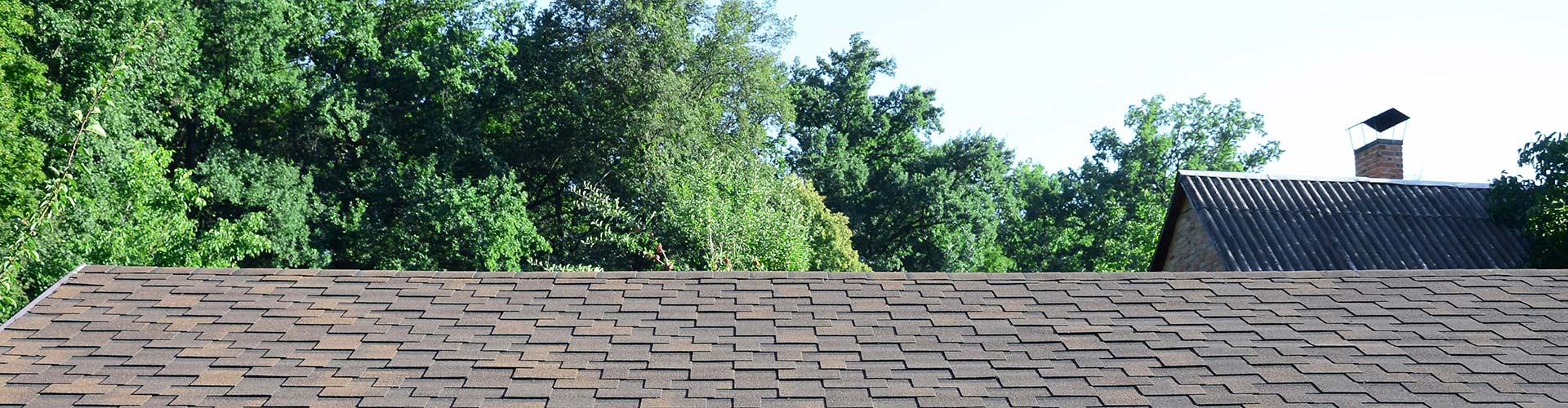 A roof of a house with trees in the background in Georgetown